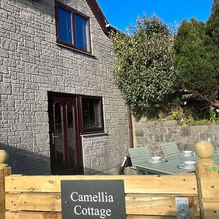 Camellia